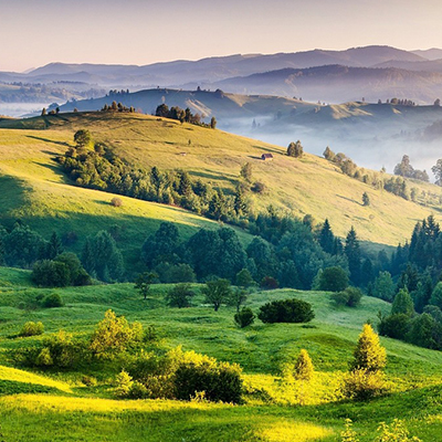 景區(qū)樂(lè)園