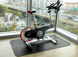 派勒凡賽 -健身器材墊