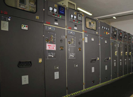 派勒迪盾?-絕緣橡膠墊