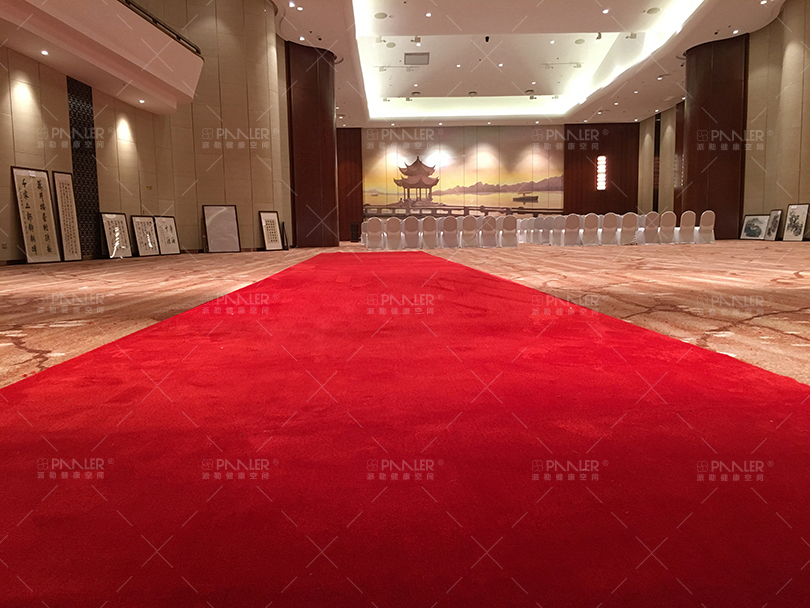 派勒麗豪/富豪 -迎賓紅地毯