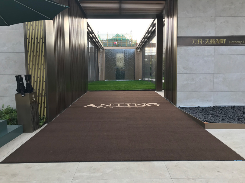 萊雅-刮塵吸水地墊